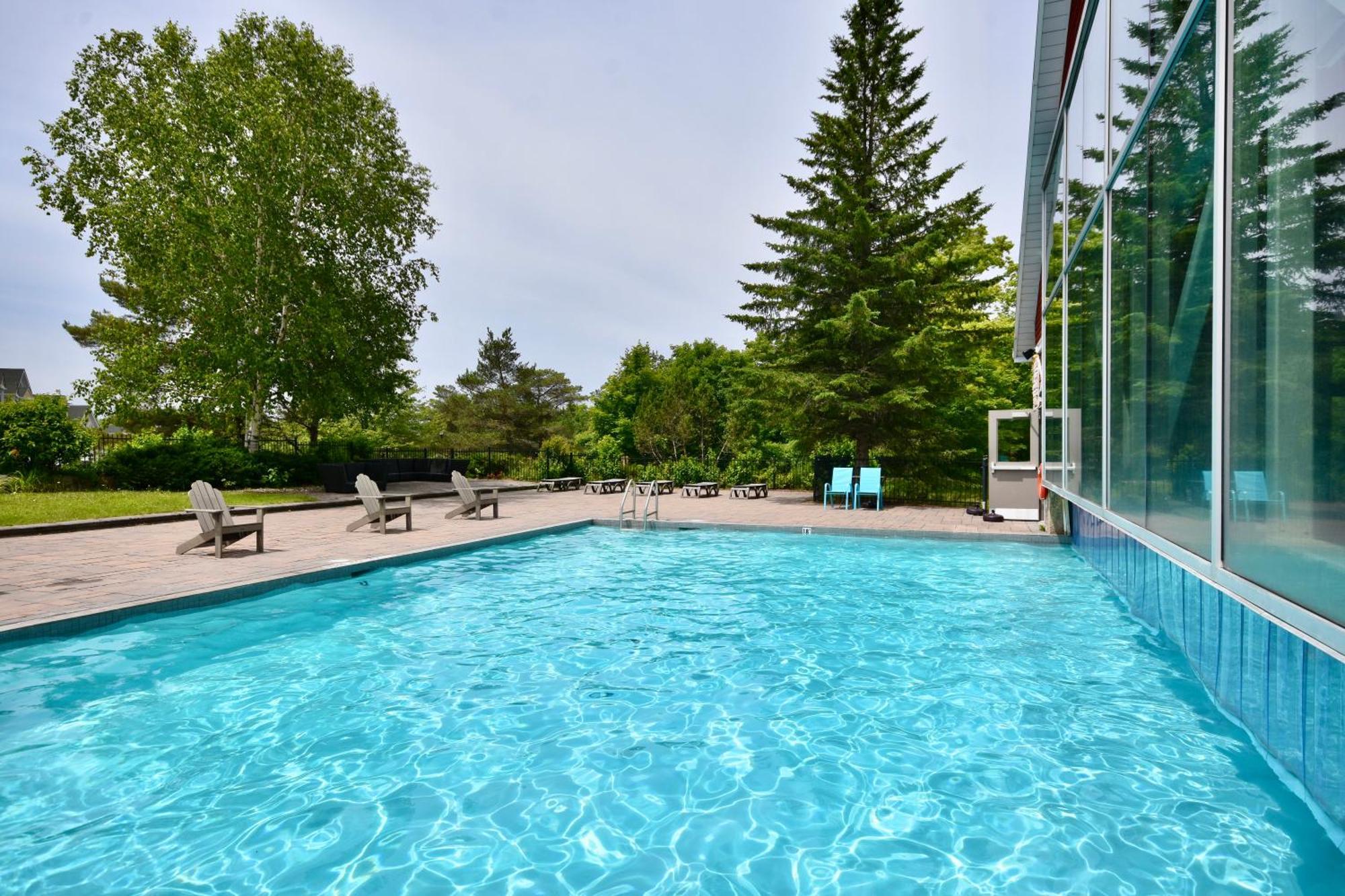 Apartment Cozy King Bed - Pullout Couch - Pool On Grounds *